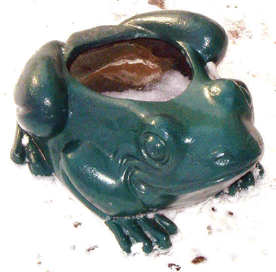 Frog Planter