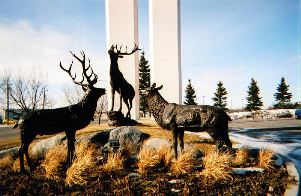 Elk Family - Ritz Hotel, Idaho Falls, ID