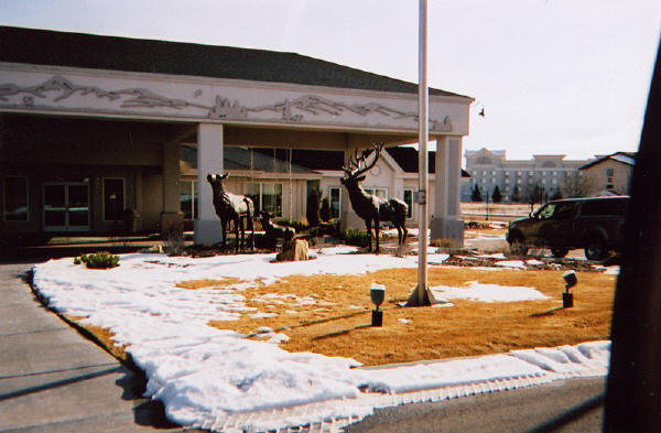 Elk Family - Ritz Hotel, Idaho Falls, ID